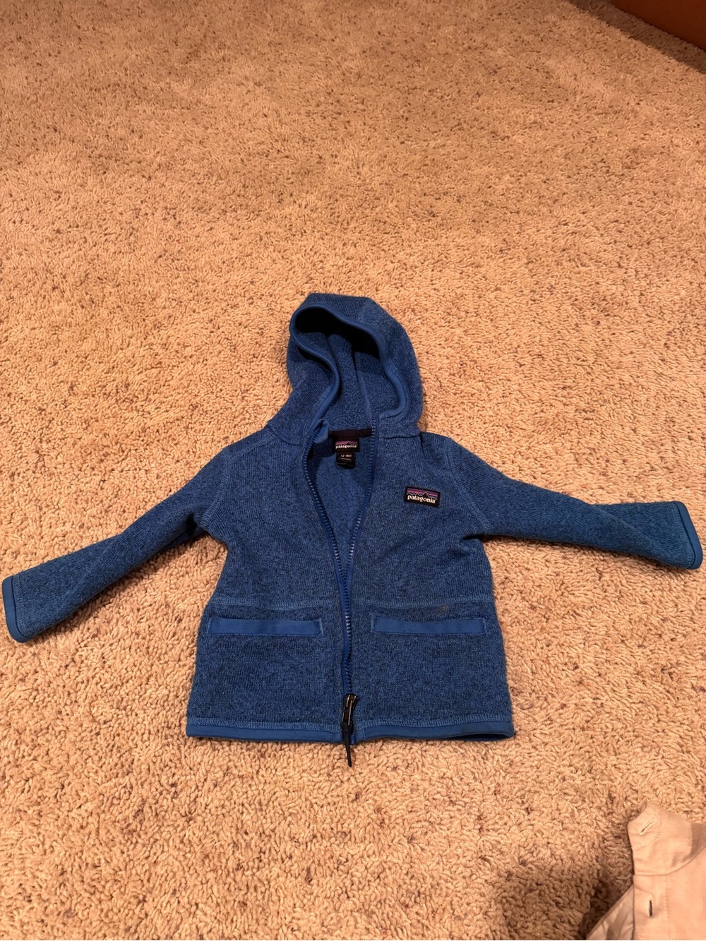 Patagonia Kids Blue Hooded Fleece Jacket - Zip Front